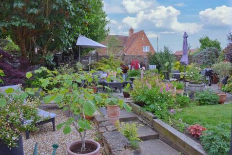 back garden