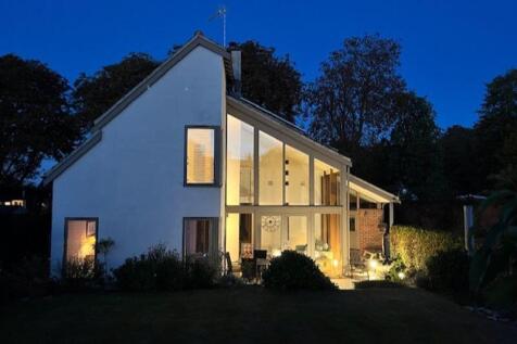 rear at night