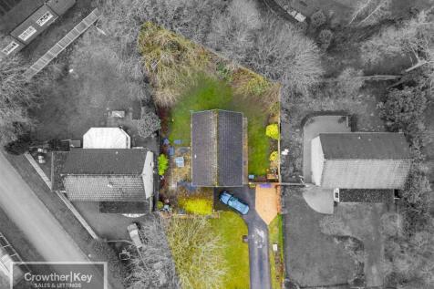 20250225-DJI_0813-Edit.jpg