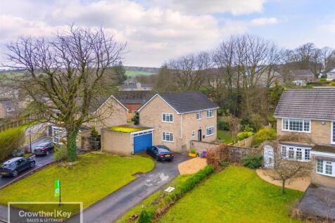 20250225-DJI_0811-Edit.jpg