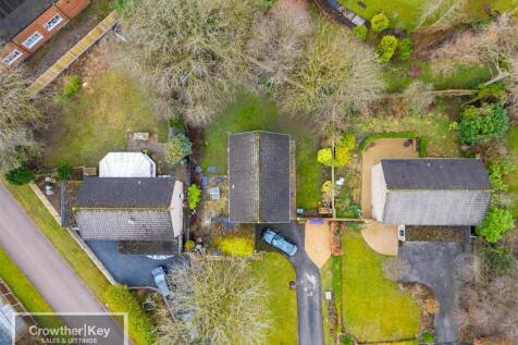20250225-DJI_0813.jpg
