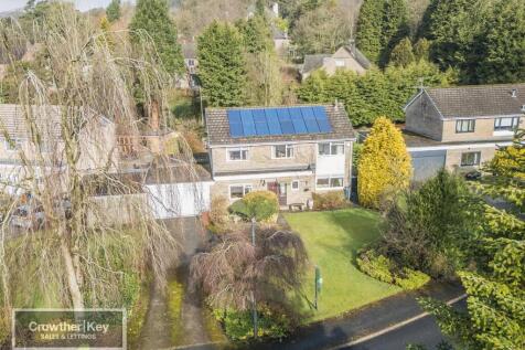 20250307-DJI_0003.jpg
