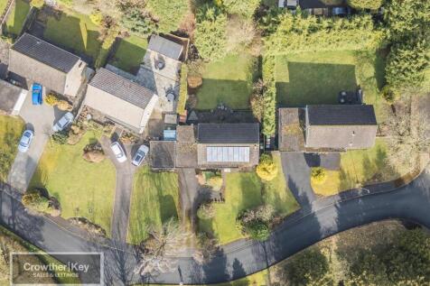 20250307-DJI_0005.jpg