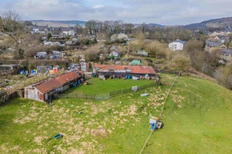 20250326-DJI_0235.jpg