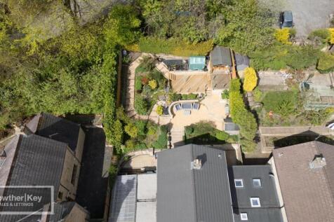 20250425-DJI_0539.jpg