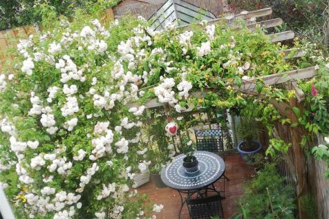 GARDEN IN SUMMER