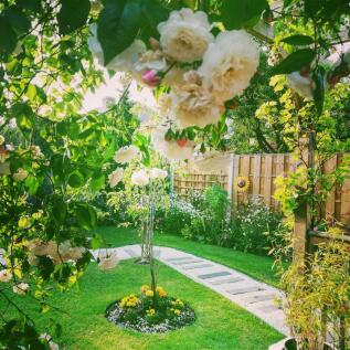 GARDEN IN SUMMER
