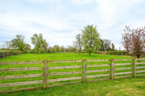 ORCHARD