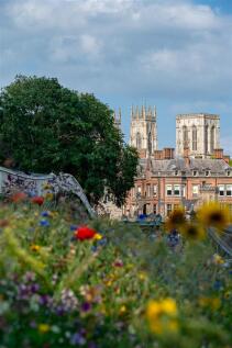 YORK SHOT