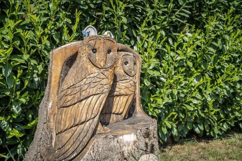 TWO HOOTS