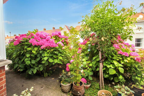 Front Garden