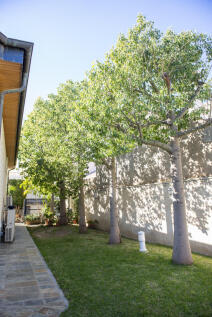 Property Image 143
