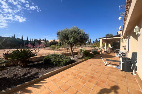 Property Image 26