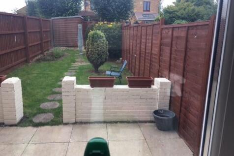 new garden.jpg