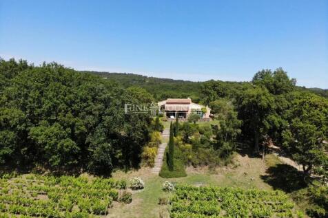 Wineyard