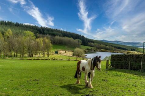 View &amp; Pony
