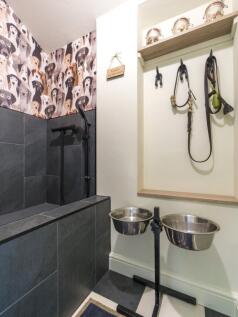 Dog Spa
