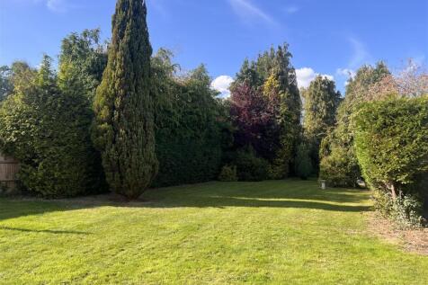 Garden Shot.jpg