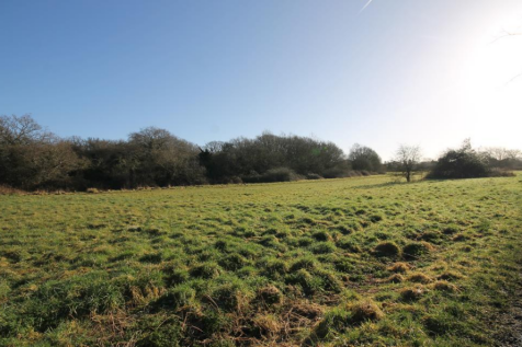 Bookham common.png