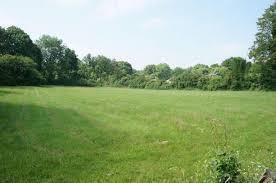 Taplow Field.jpg