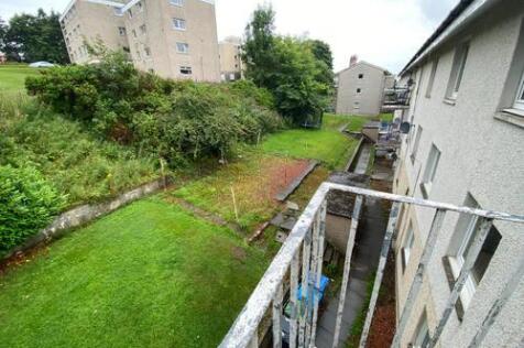 Back Garden