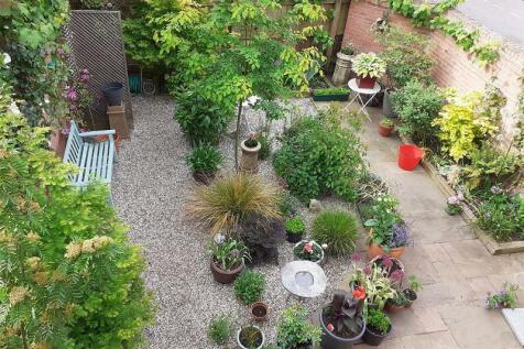 V. garden pic.jpg