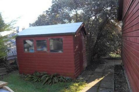 shed pic 2.jpg