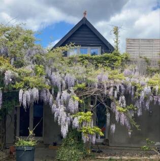 wis. 18 Hare Street Rd.jpeg