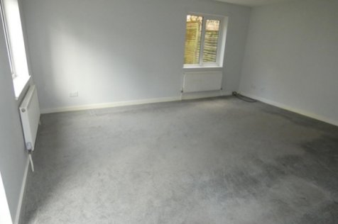 Picture5