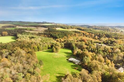 6d42f4e8-41 20For...