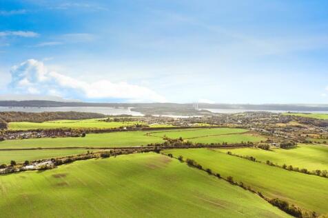 e8c1943b-41 20For...