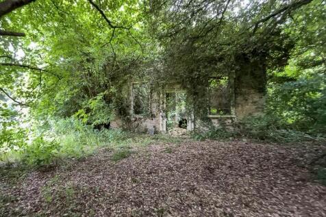 Hollis Morgan Auctions
