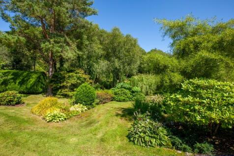 Property Image 34