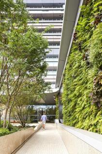 Communal Garden