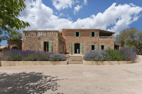 SonGuillot (36)-enhanced-custom