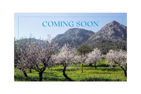 SECRET &amp; COMING SOON_026