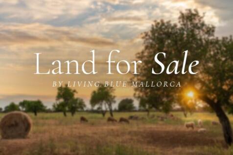 land-for-sale-living-blue-mallorca