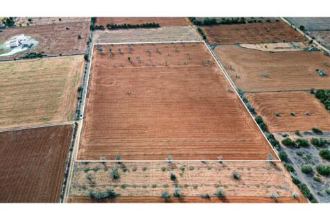 DJI_0739-marked
