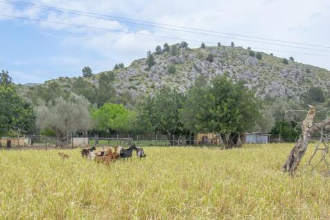 TRADITIONAL MALLORCAN HOUSE FOR SALE ON A PLOT OF 7700M2 WITH GREAT POTENTIAL 