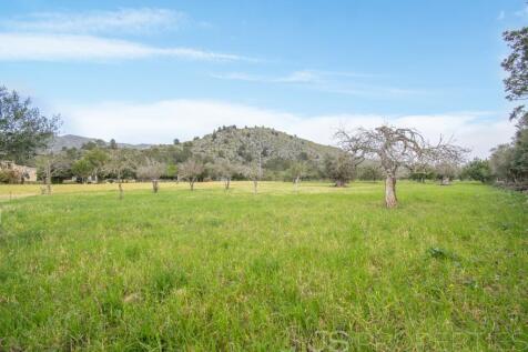 TRADITIONAL MALLORCAN HOUSE FOR SALE ON A PLOT OF 7700M2 WITH GREAT POTENTIAL 