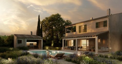 PROJECT FOR A MODERN VILLA IN SES SALINES FOR SALE 