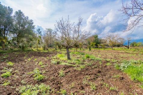 COUNTRY HOUSE WITH LAND