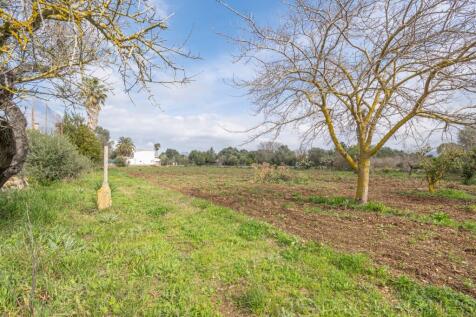COUNTRY HOUSE WITH LAND