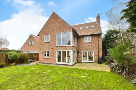 Property Image 23