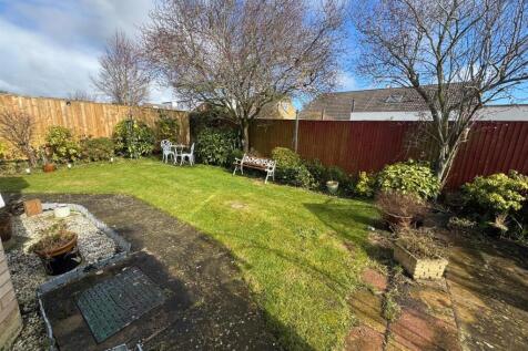 Garden 3.jpg