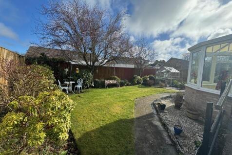 Garden 5.jpg