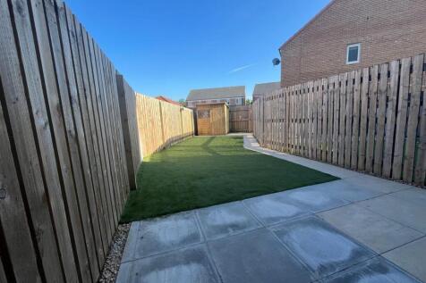 back garden 3.jpg