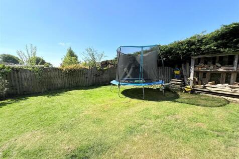 garden from garage.jpg