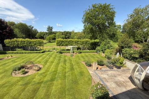 garden 3.jpg