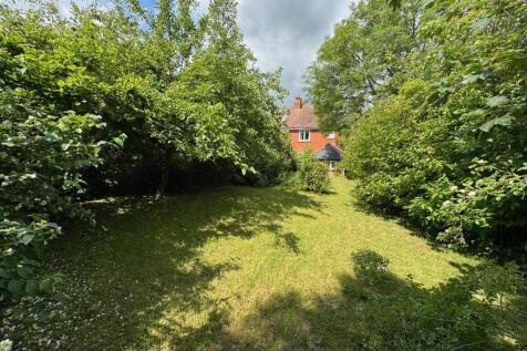 Garden 4.jpg